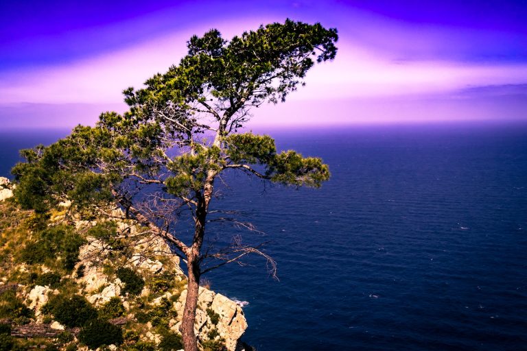 2022-03-trikefunmallorca_008